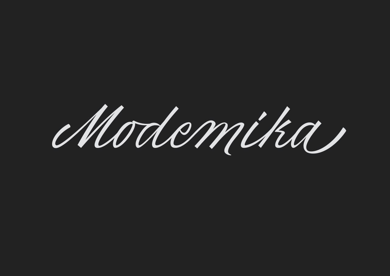 modemika_presentation_5